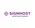 Singhost logo